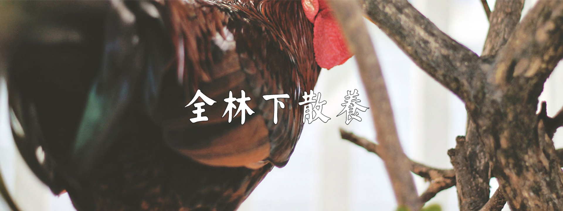 重慶明吉農(nóng)產(chǎn)品配送有限公司